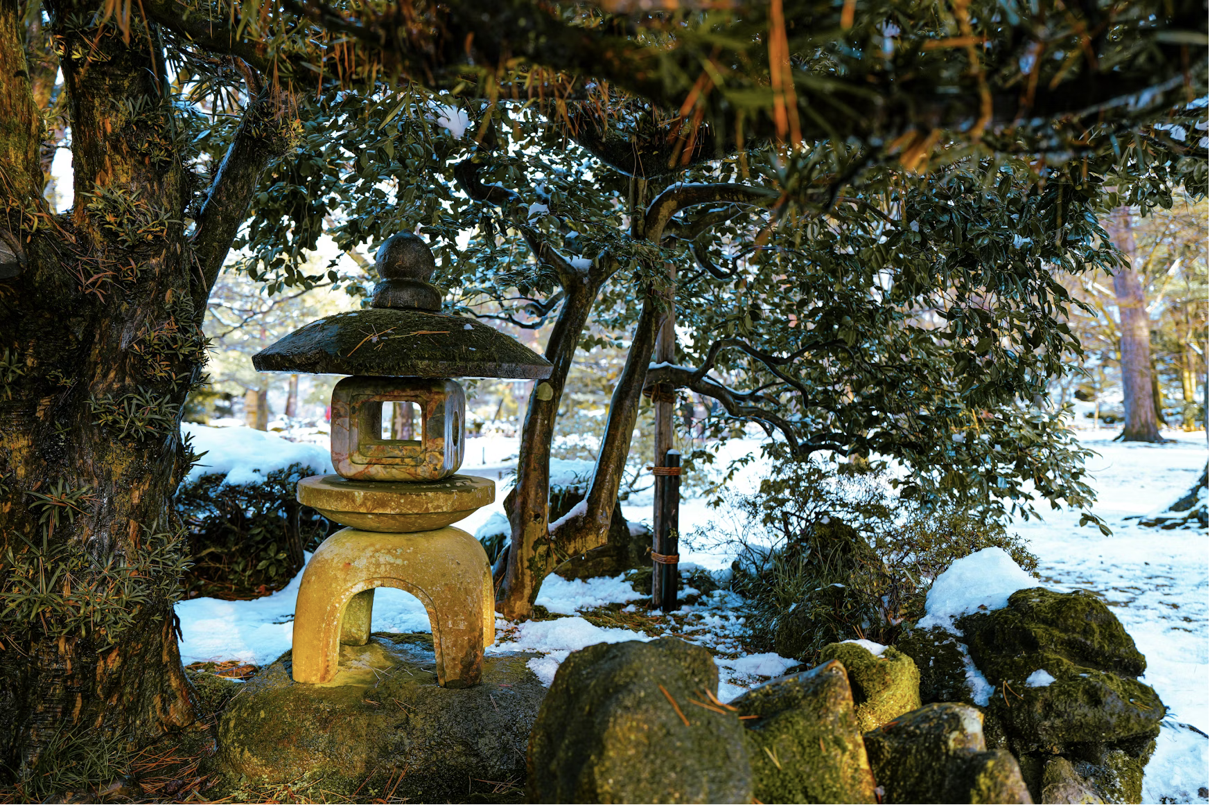 Preparation du jardin pour l'hiver