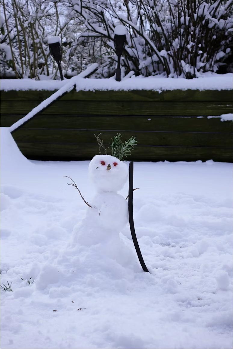 Jardin en automne à Didenheim, Alsace