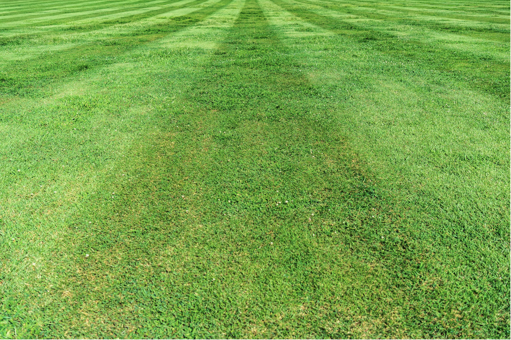 Entretien de pelouse et gazon